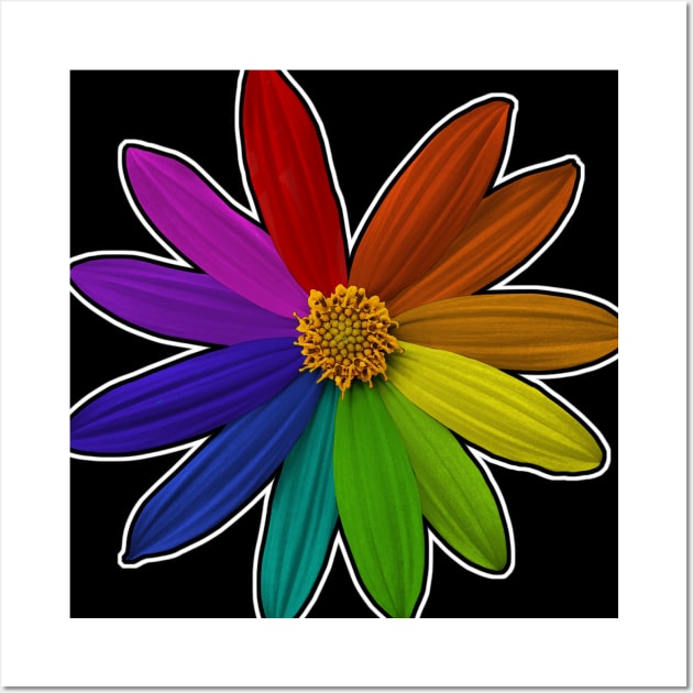 Flower Color Wheel Rainbow Wall Art by Pinkazoid
